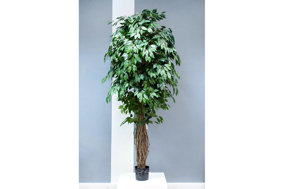 Artificial Ficus Benjamina Liana 210cm green